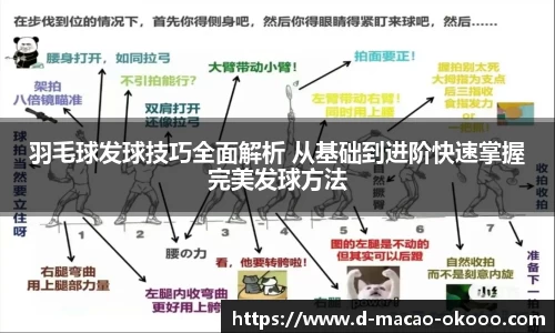 羽毛球发球技巧全面解析 从基础到进阶快速掌握完美发球方法